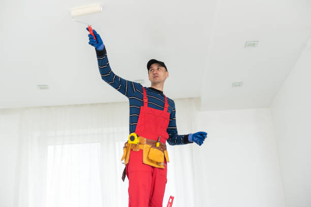 Best Basement Mold Removal  in New Smyrna Beach, FL
