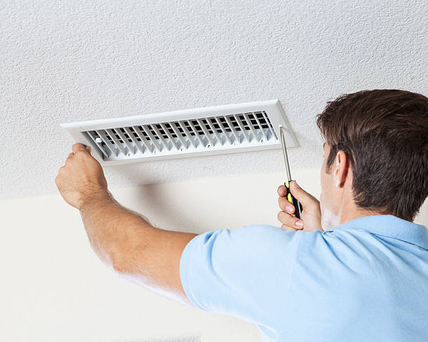 Best Forensic Mold Investigation  in New Smyrna Beach, FL